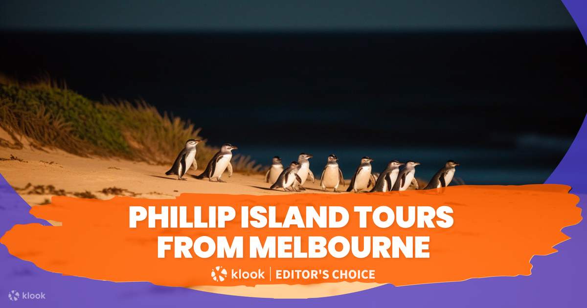 Phillip Island Tours from Melbourne Klook